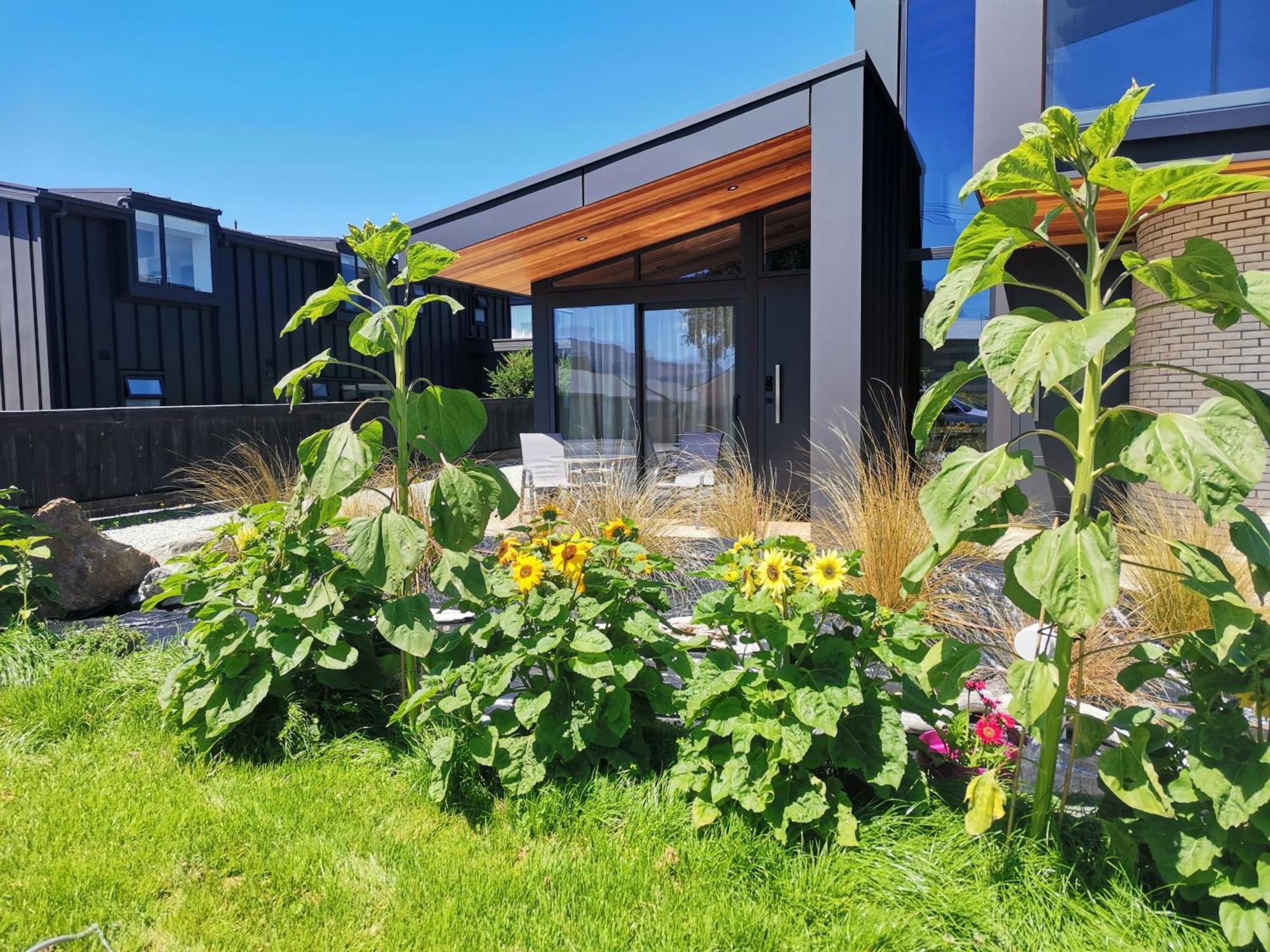 Apartamento Roys View Wanaka Exterior foto
